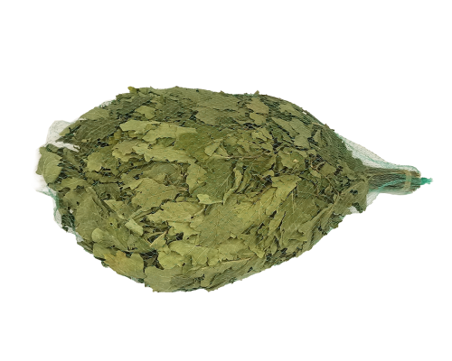 image_1 Saunová metlička z kanadského dubu – pro saunu, relaxaci a aromaterapii