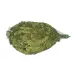 image_1 