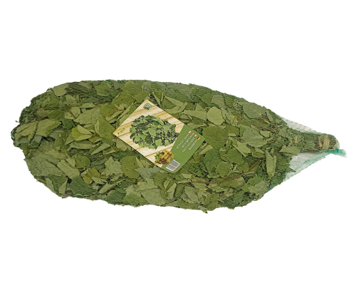 Saunová metlička z lipového listí – přírodní lipová větev pro saunu, relaxaci a aromaterapii