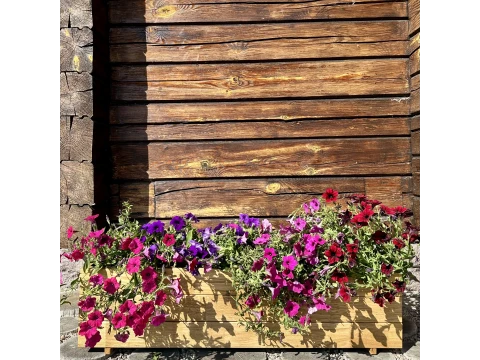 Hanging garden on the balcony: ideas for small spaces